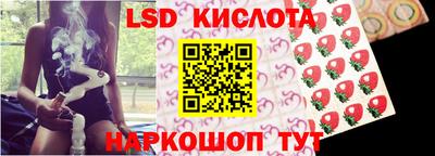 прущие грибы Лесосибирск