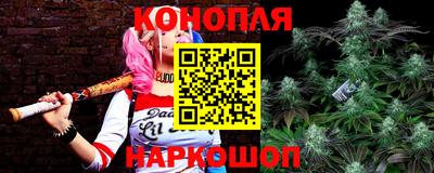 прущие грибы Лесосибирск