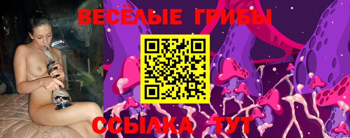 Серпухов  Галлюциногенные грибы Psilocybe  Вход с VPN 